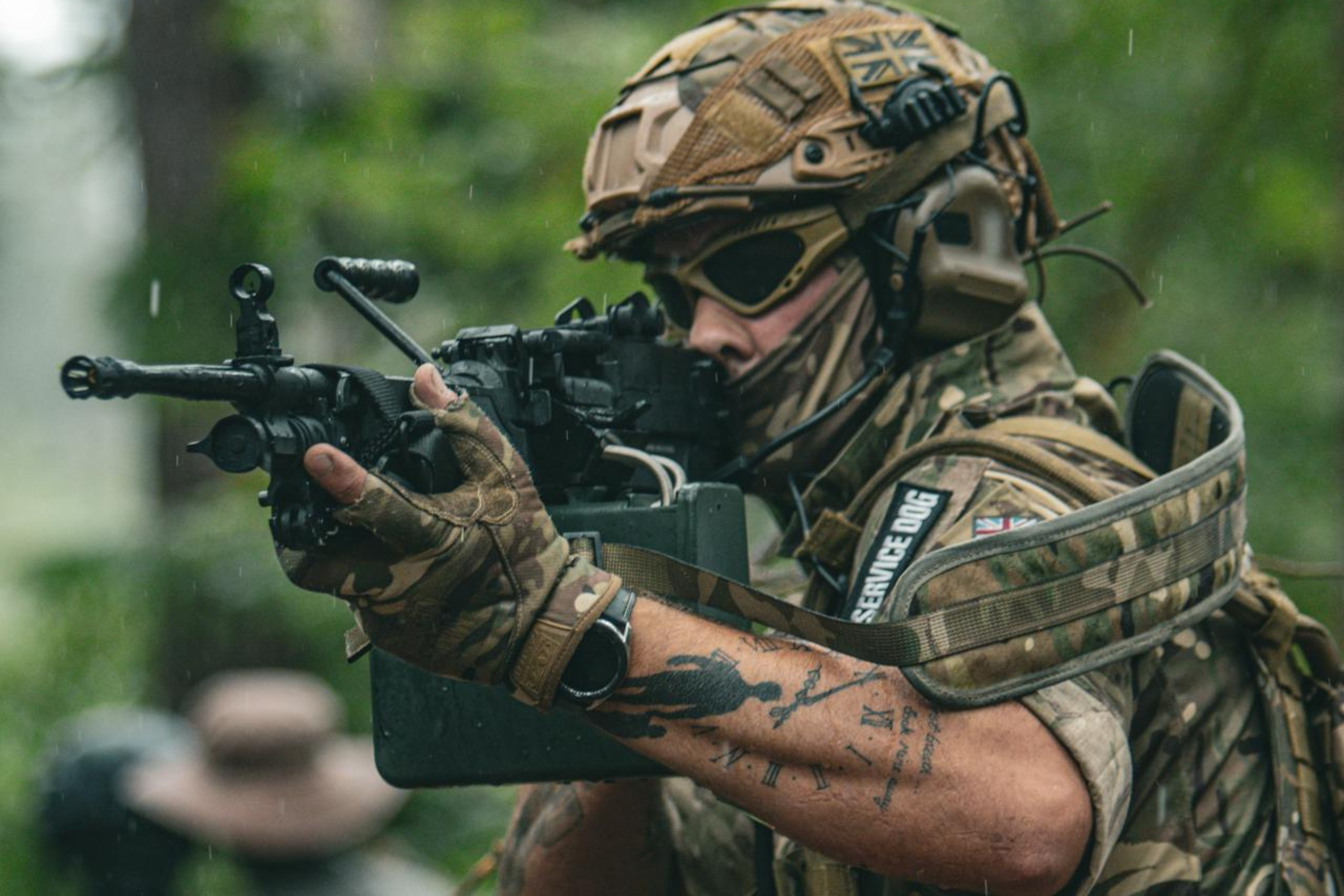 zonnestralen door het bladerendek